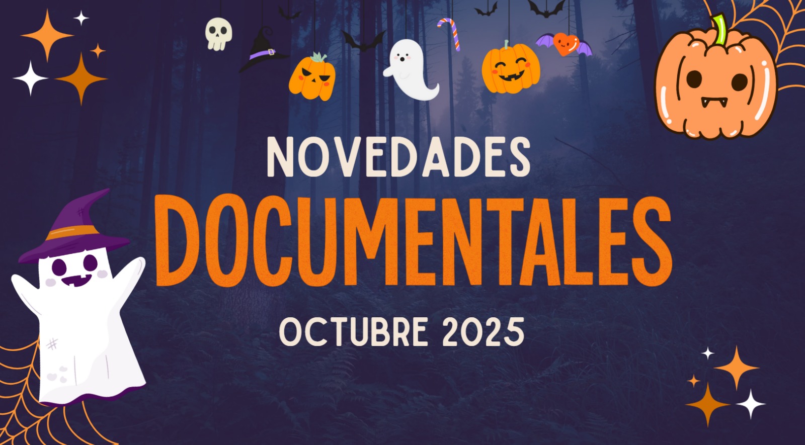 WhatsApp Image 2025 12 11 at 11.10.33 AM